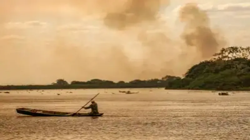 Pesquisadores alertam para armadilhas de mercantilizar pauta climática