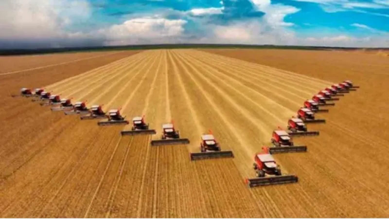 Brasil vai colher safra recorde de soja, milho e algodão em 2025
