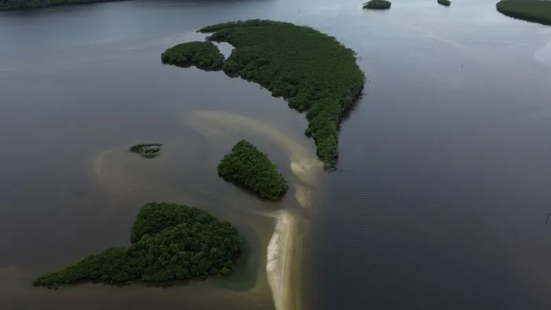 Carbono azul ganha espaço na agenda climática dos oceanos