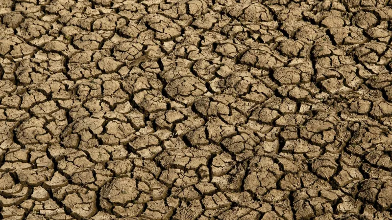 Desertificação no Brasil ameaça segurança hídrica e alimentar
