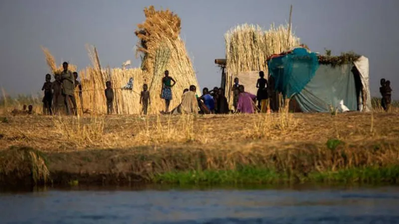 Fome mundial atinge 645 milhões de pessoas, diz relatório da ONU