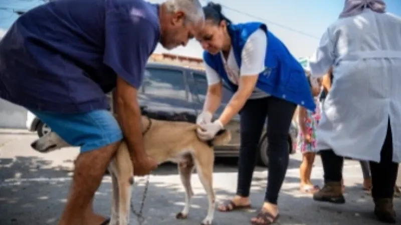 Prefeitura de Maceió vacina mais de 90 mil animais durante campanha antirrábica 2025