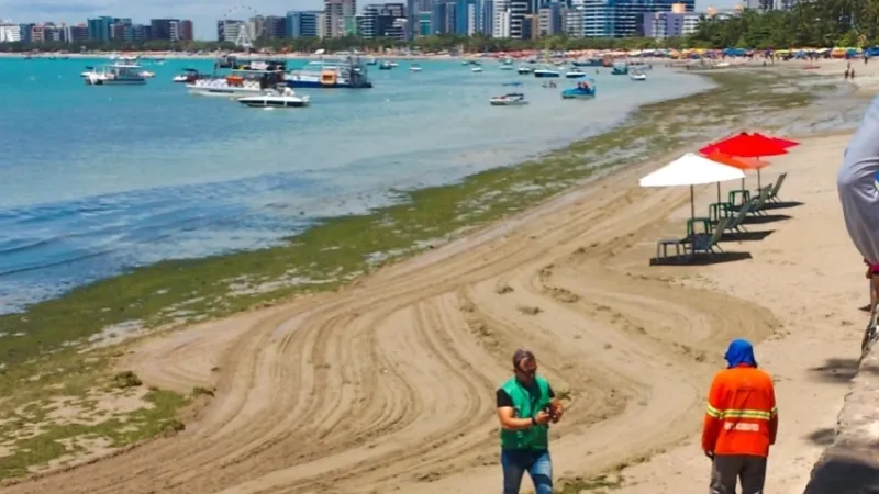 Vistoria técnica descarta lançamento de esgoto na orla da Pajuçara