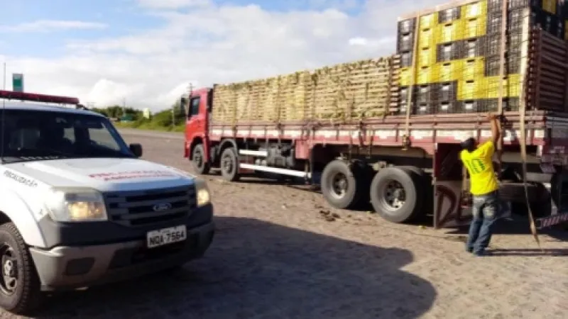 Adeal passa a emitir Permissão de Trânsito Vegetal eletrônica