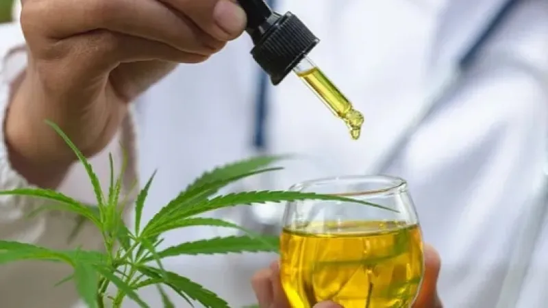 Gilmar Mendes diz que já utilizou cannabis medicinal: ‘Boa impressão’