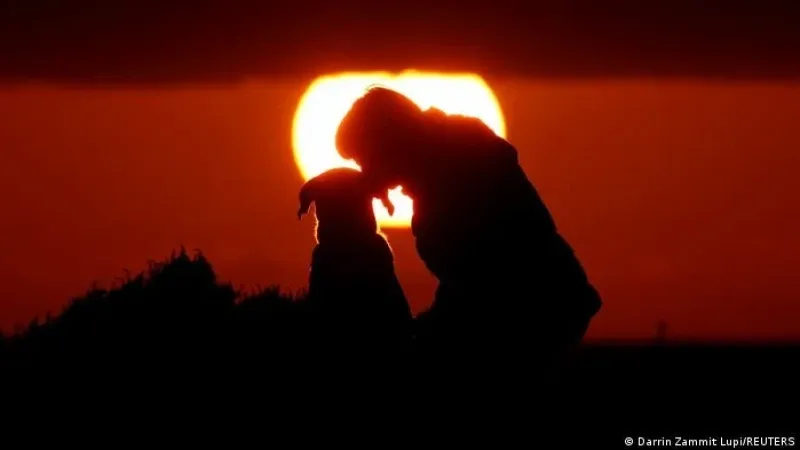 Ciência identifica cão mais antigo a ter vivido com humanos