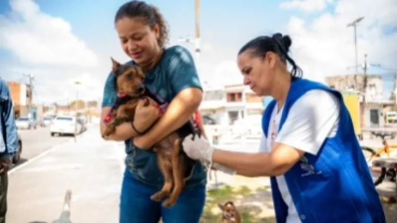 Saúde de Maceió imuniza mais de 30 mil animais no primeiro dia de vacinação antirrábica