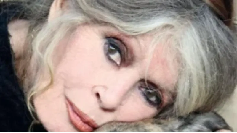 Brigitte Bardot é enterrada de frente para o mar em Saint-Tropez