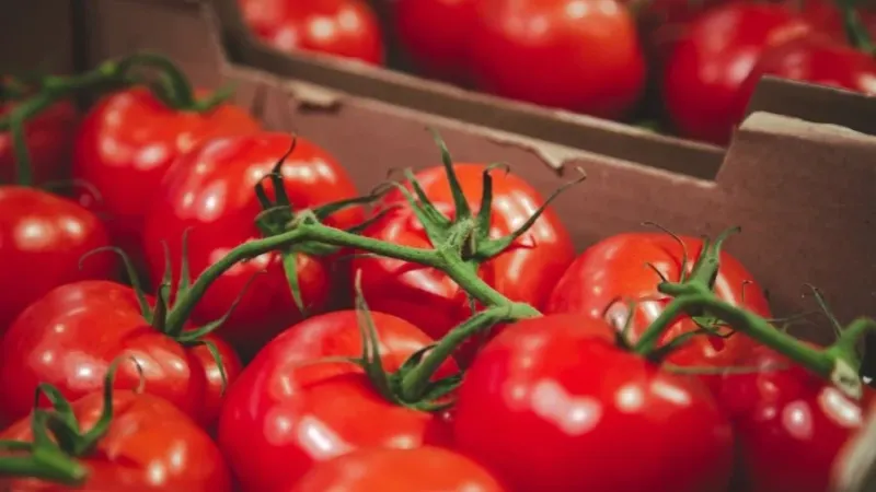 Do diesel ao tomate: veja o que ficou mais caro em março sob pressão da ‘inflação da guerra’