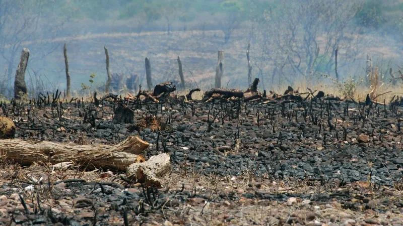 Sociedade civil rejeita agenda excludente aprovada no início da COP17