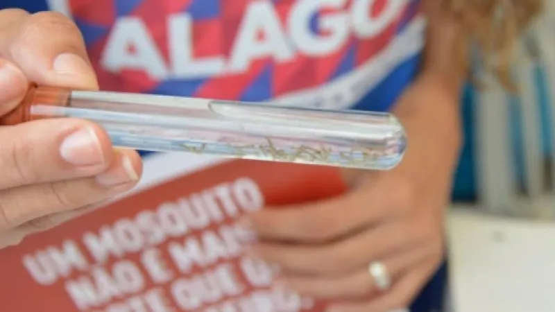 Sesau promove treinamento on-line sobre manejo clínico da Chikungunya