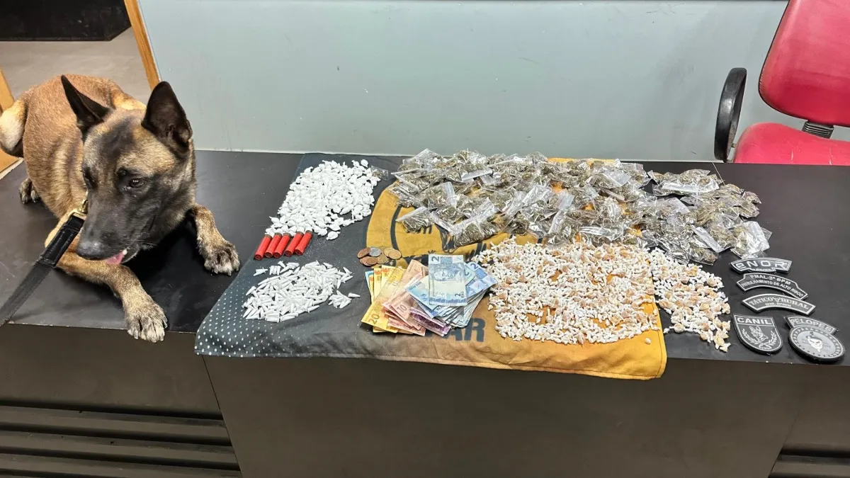 PM apreende cerca de 2.000 pedras de crack, munições e outras drogas em Palmeira dos Índios