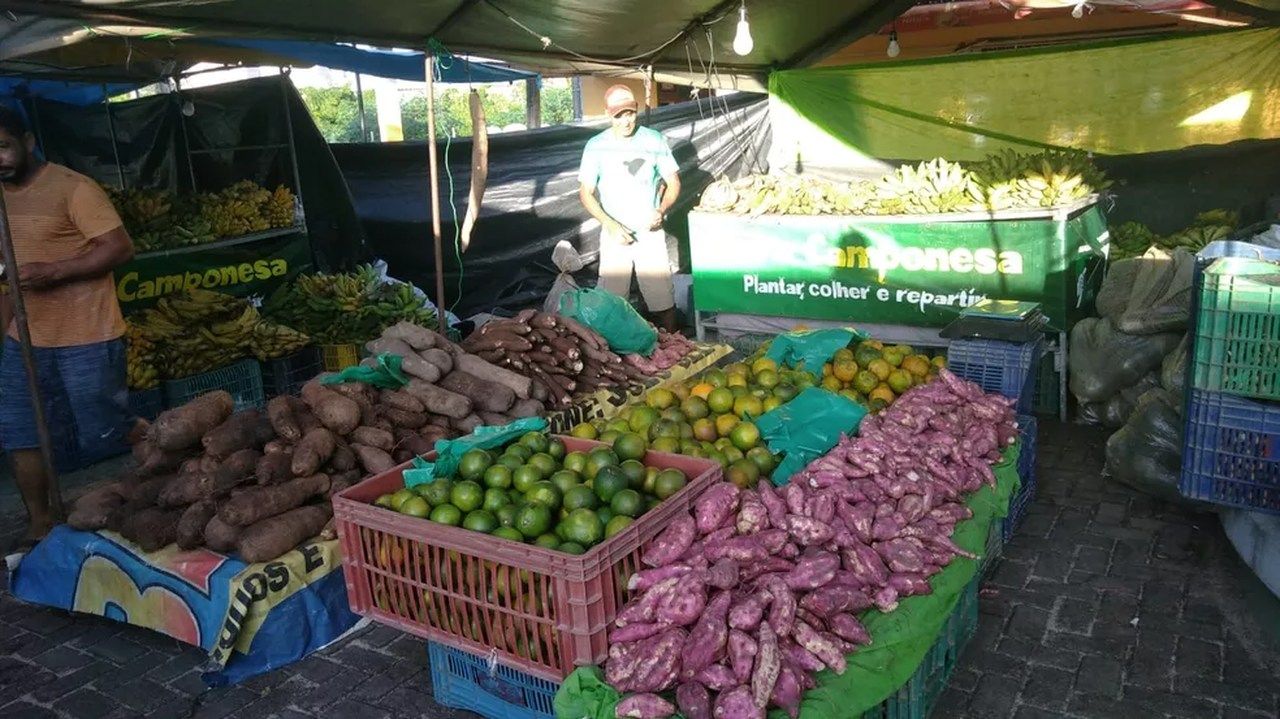 Feira Camponesa atrai consumidores ao bairro da Serraria, em Maceió
