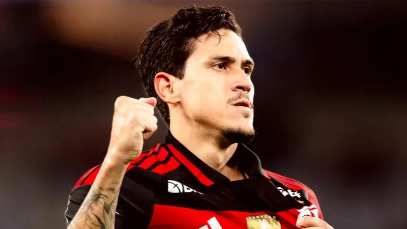 Em duelo de rubro-negros, Vitória recebe Flamengo pelo Brasileirão