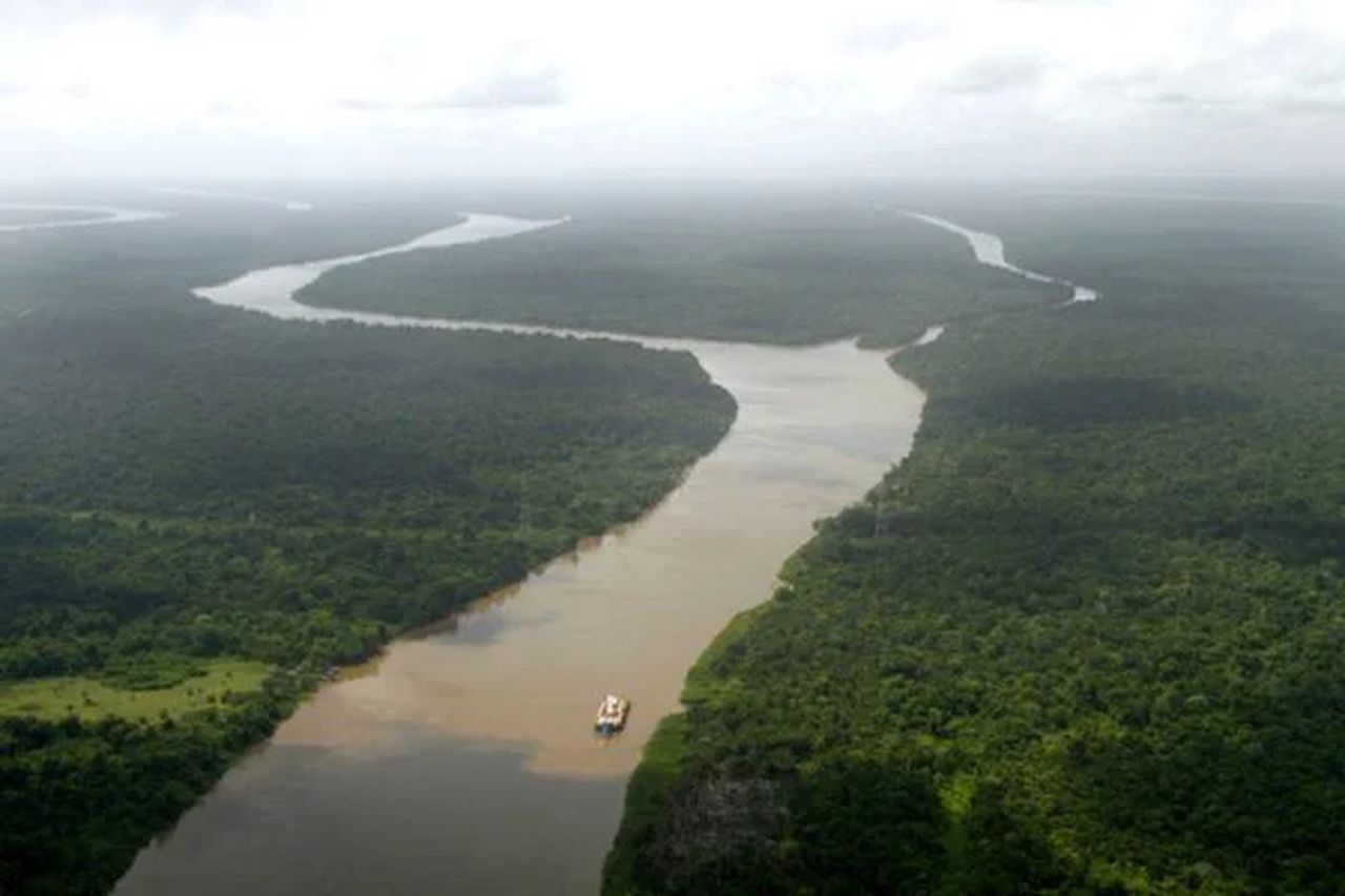 Desmatamento na Amazônia cai 67% em abril em comparação com 2022