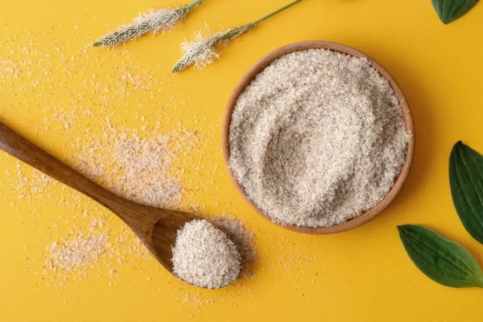 Psyllium: o que é, quais os benefícios e como deve ser usado
