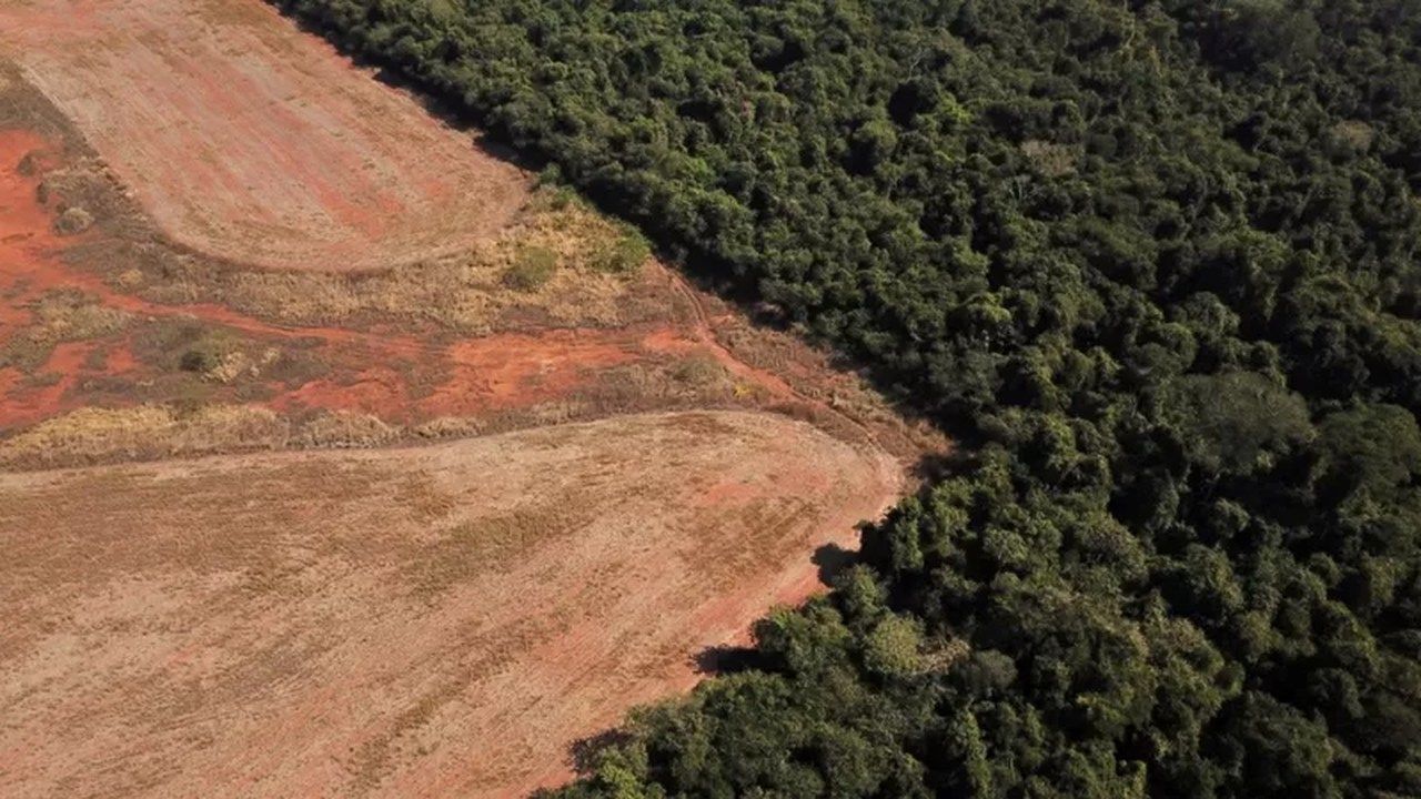 COP27: Noruega promete aumentar repasses para proteção da Amazônia com Lula