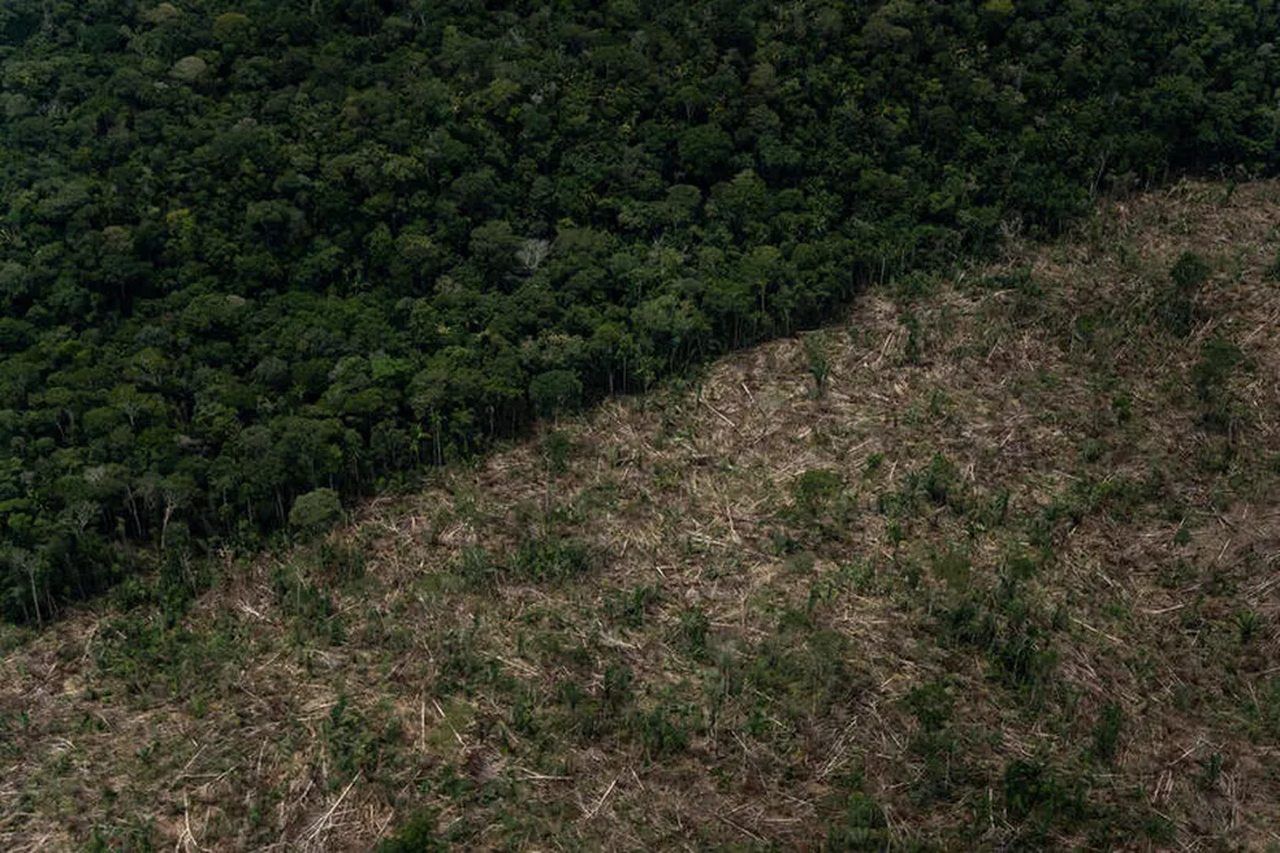 Grandes empresas do agronegócio propõem plano para eliminar o desmatamento até 2025; ambientalistas pedem fim imediato