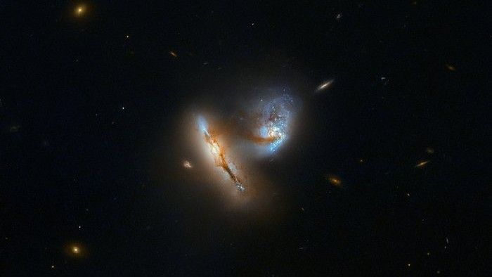 Horóscopo: saiba o que esperar para o seu signo nesta sexta, 24