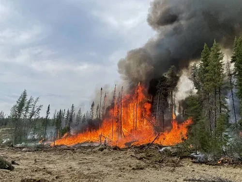 Brasil envia 18 bombeiros para ajudar no combate a incêndios no Canadá