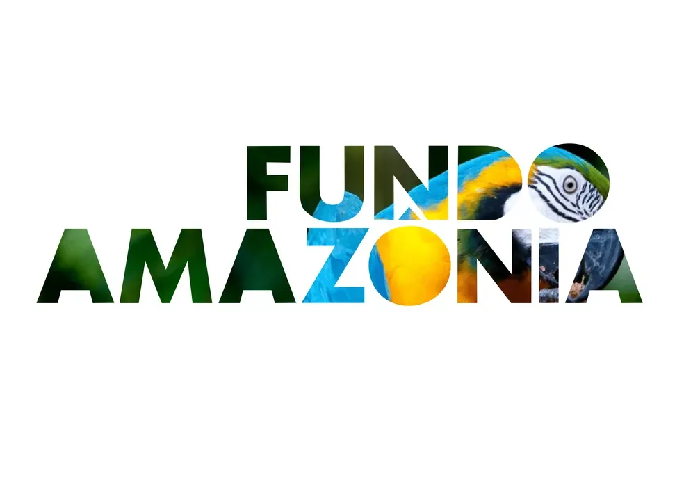 Na COP 28, Noruega anuncia doação de mais R$ 245 milhões para o Fundo Amazônia