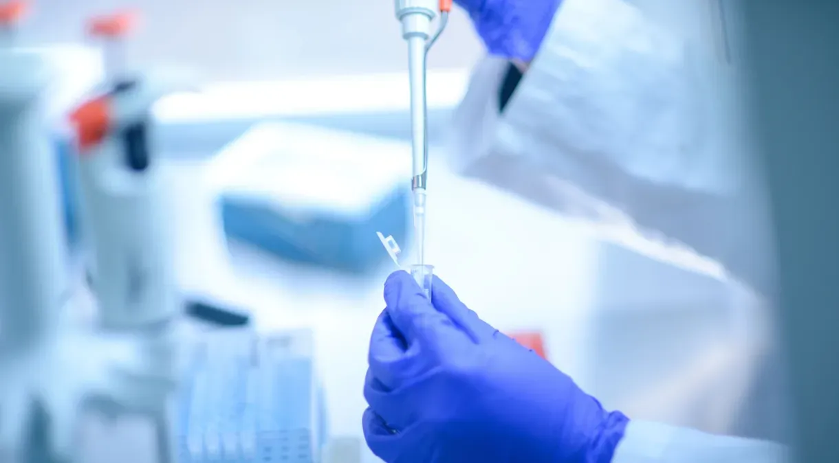Toxina do veneno da cascavel pode ajudar a combater o câncer, indica estudo