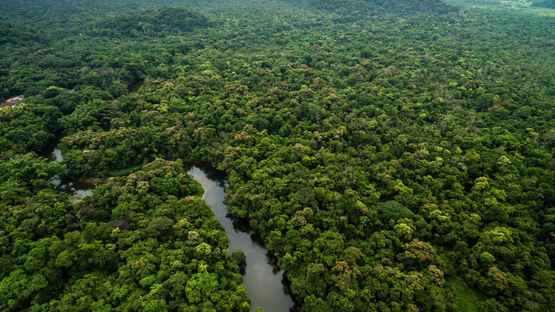 Amazônia: governo federal destinará R$ 700 mi para combater desmatamento e recuperar áreas