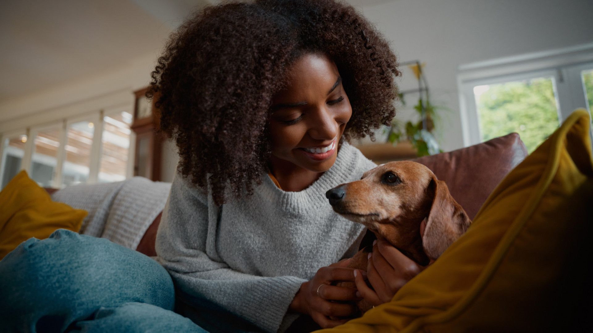Conexão intensa com cachorro reduz risco de depressão e ansiedade
