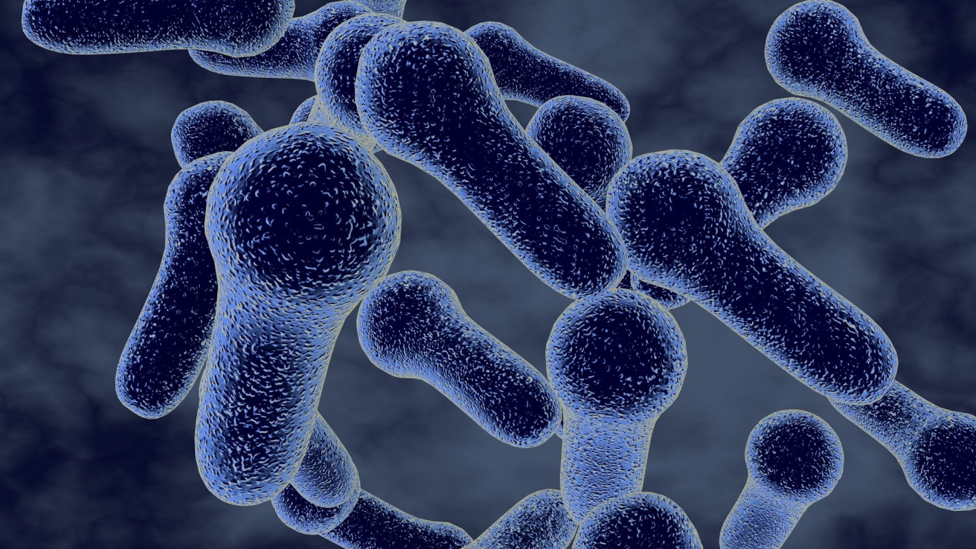 Bahia registra seis casos de botulismo, com duas mortes confirmadas
