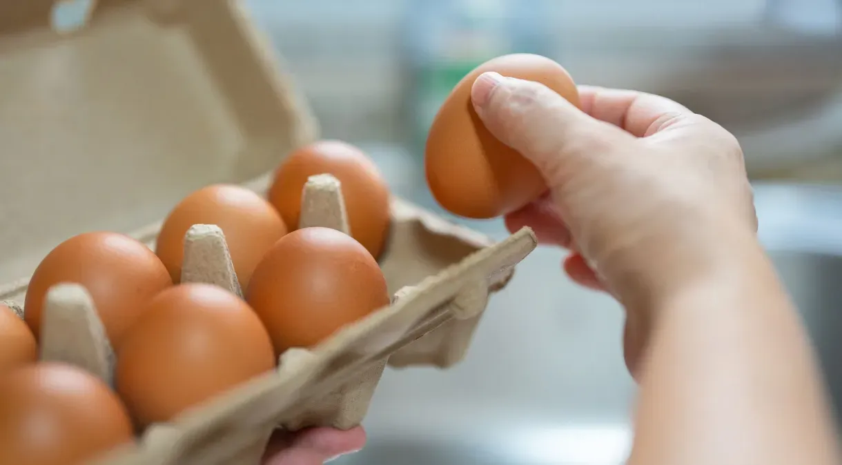 Ovo faz mal? Veja 10 mitos e verdades sobre o alimento