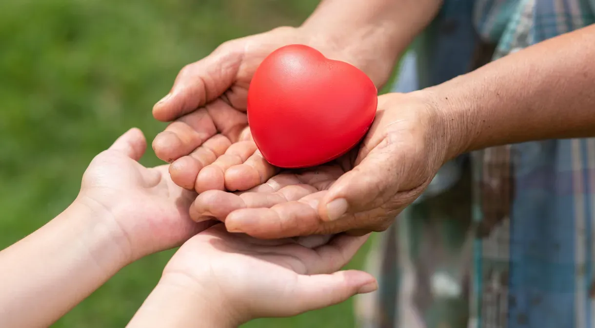Interessados em doar órgãos poderão manifestar desejo pela internet