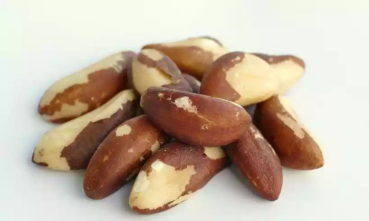 Castanha-do-Brasil: 5 motivos para incluir esse superalimento na sua dieta