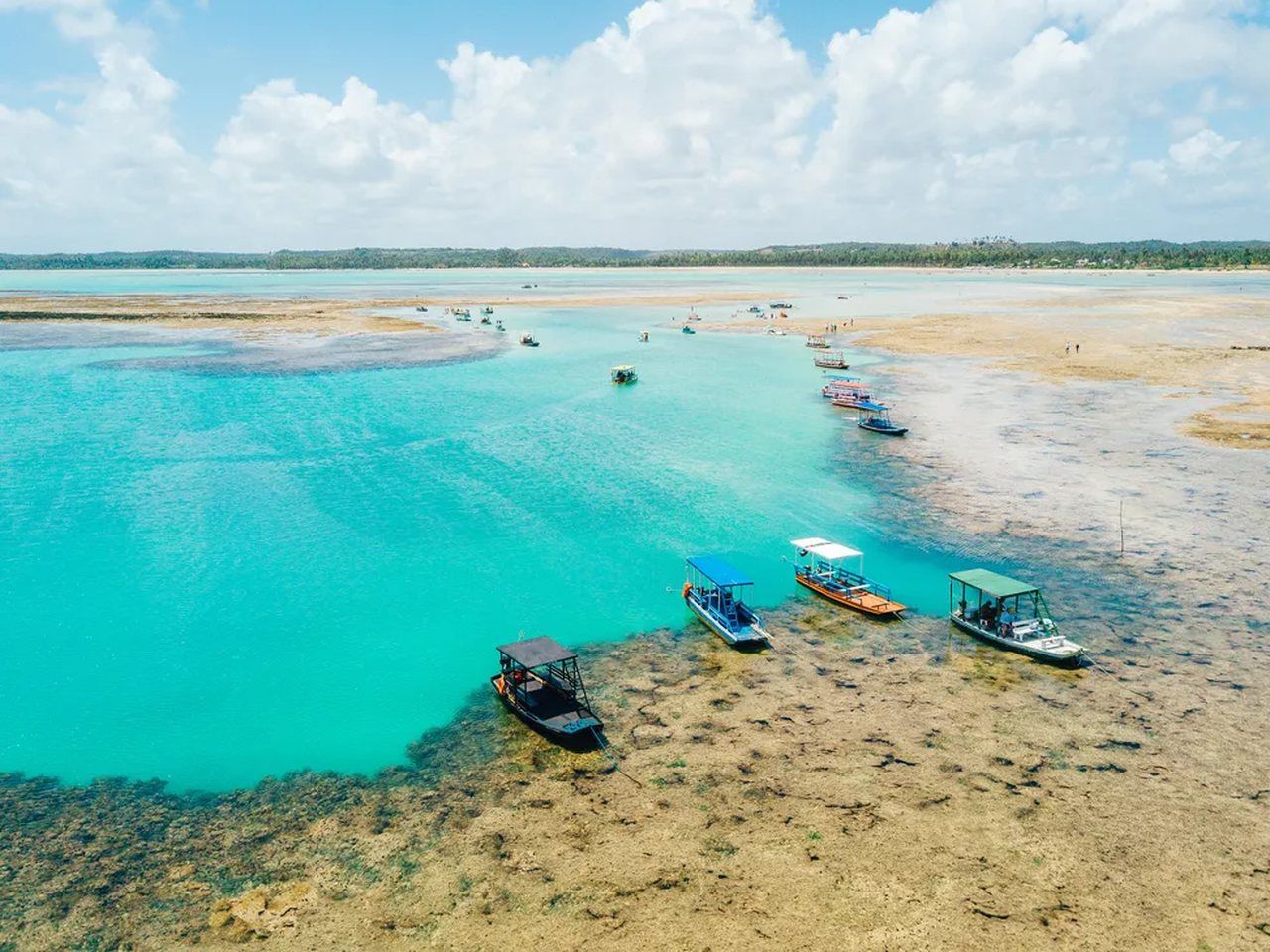 Praia do Patacho, em AL, ganha novamente selo internacional Bandeira Azul