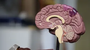 Novo teste de sangue pode revolucionar diagnóstico precoce do Alzheimer