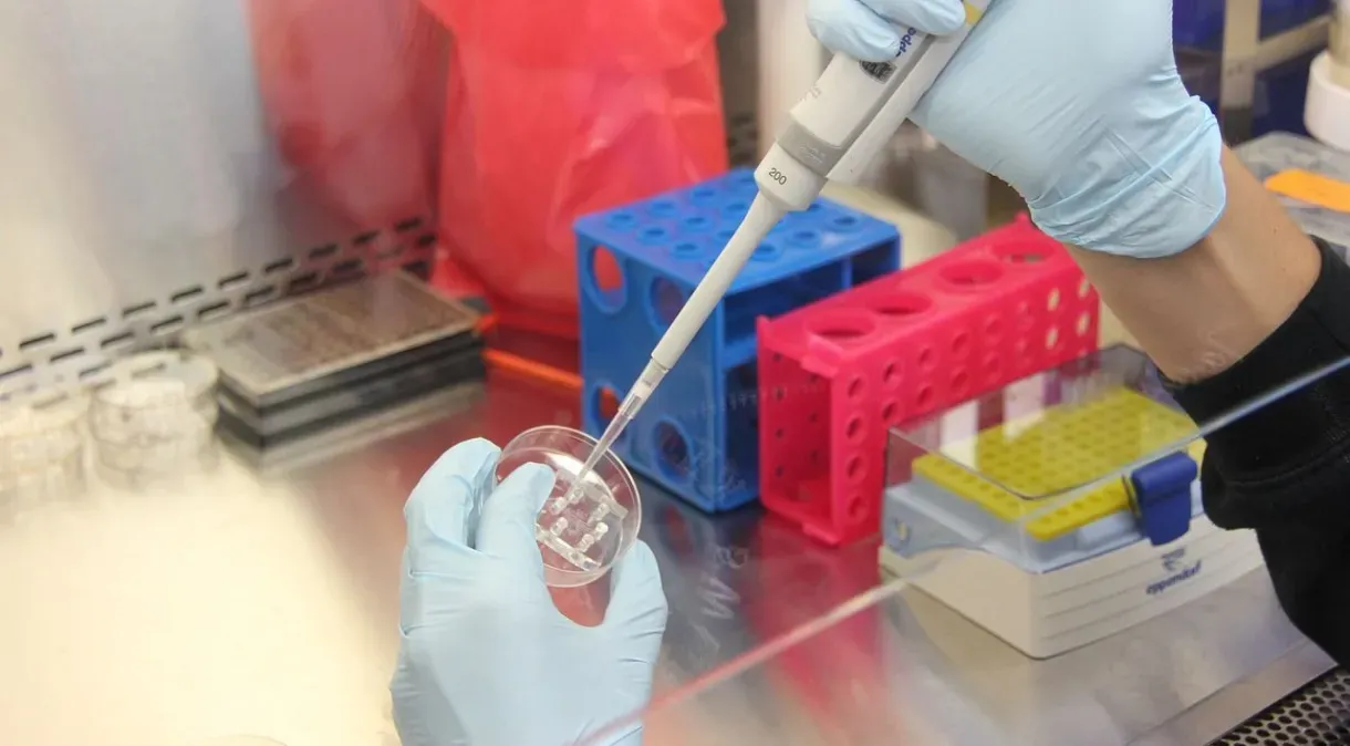 Fertilização in vitro é a opção para pacientes com câncer terem filhos