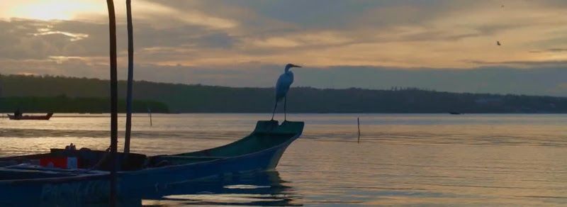 Alagoas ganha destaque em websérie nacional do Programa Transformando Territórios sobre filantropia comunitária