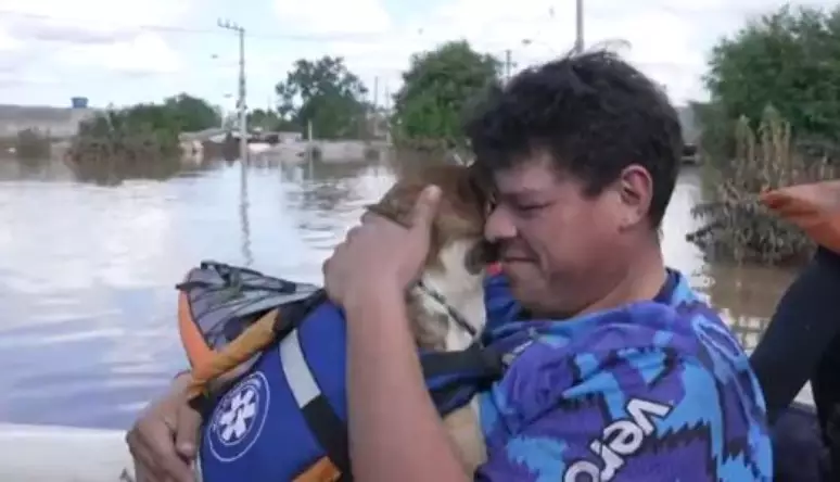 Voluntário encontra o próprio cão perdido há 7 dias em cidade gaúcha: 'Meu cachorro está ali'