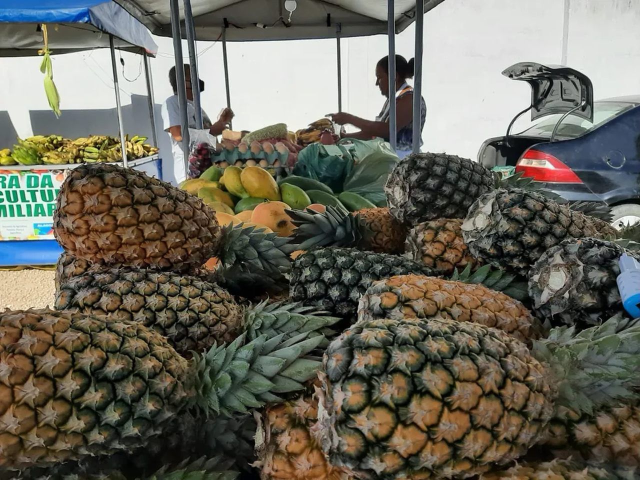 Feira da Agricultura Familiar leva alimentos saudáveis para o bairro da Jatiúca, em Maceió