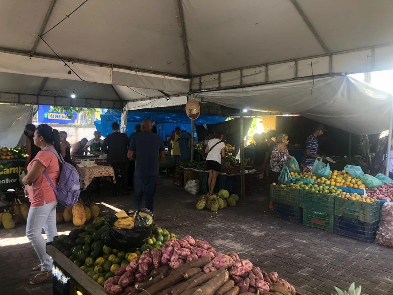 Feira camponesa leva produtos sem agrotóxico ao Conjunto José Tenório, na Serraria