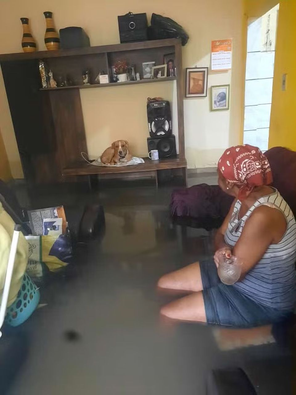 Idosa fica em casa alagada e salva o cachorro em cima de móvel no RJ: 'É de partir o coração', diz filha