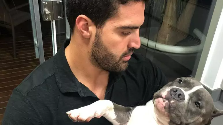 Latam é condenada a pagar R$ 30 mil após cachorro morrer em voo