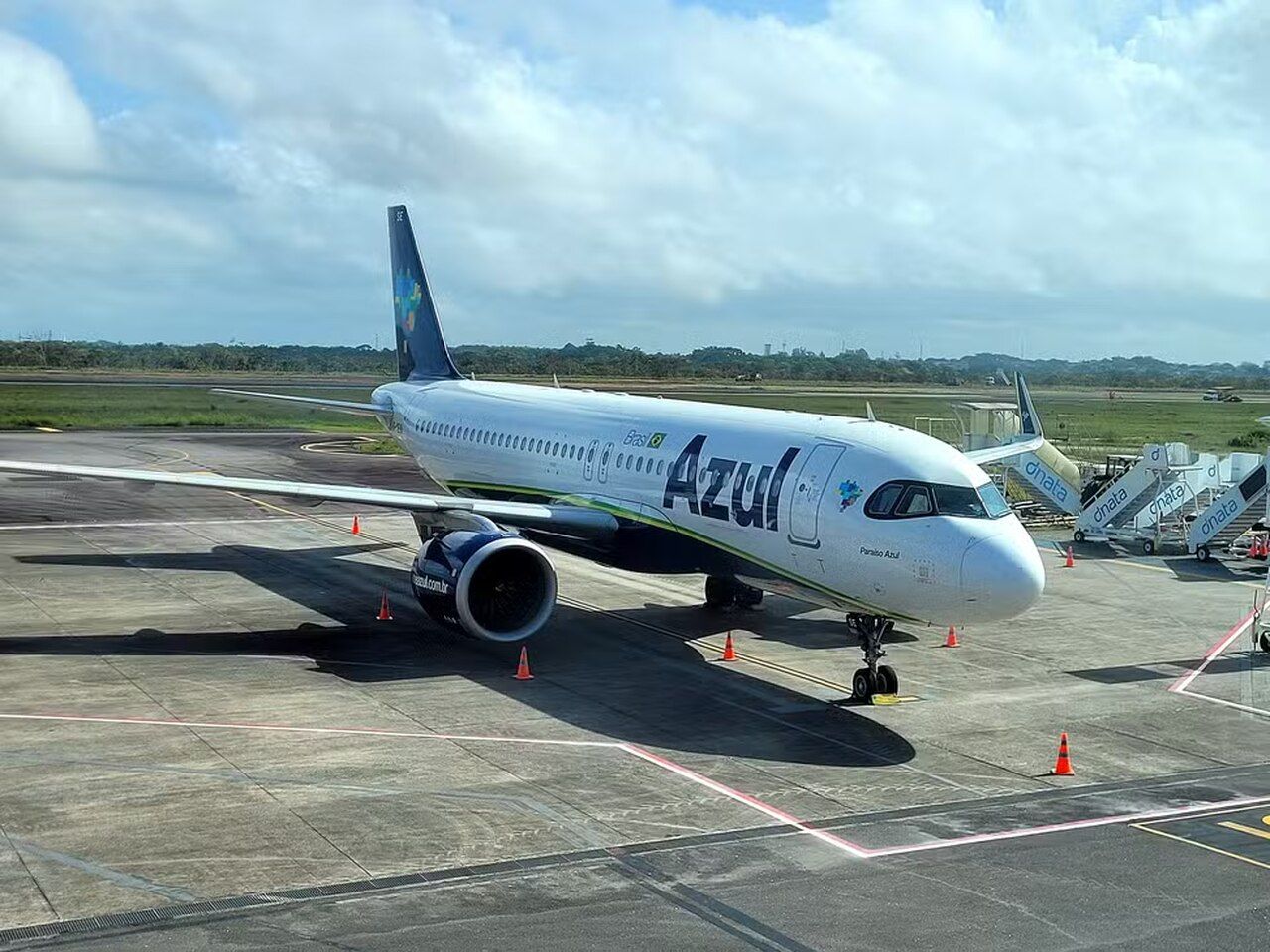 Avião com destino a SP colide contra pássaro e precisa voltar para Alagoas
